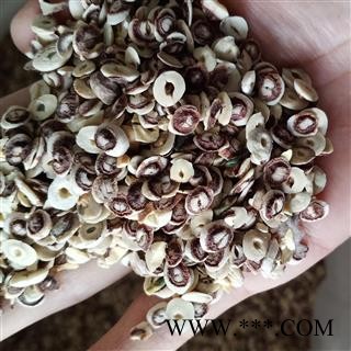 莲子 莲子冒 产地 湖南省图2