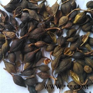 连翘 青翘水煮(汽蒸)统货 产地 河南省图2