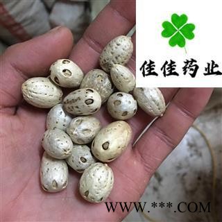 南酸枣 选装 五眼果 五眼子 广枣 供应各种中药材 冷背货 矿石等 产地 海南省图4
