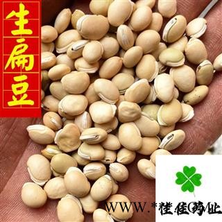白扁豆 进口白扁豆选货 生扁豆 颗粒饱满 新货 无虫蛀 产地 海外图2