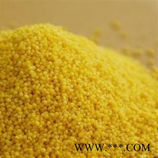 秫米  黄小米 北秫米  北秫米 黄米 糯秫 糯粟 黄糯 统 产地 河北省 批发各种冷背中草药个子图2