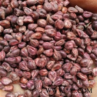 葡萄子（籽） 统 产地 新疆维吾尔自治区图2