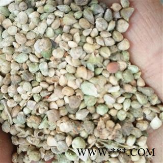 菠菜子 菠菜籽 青菜子 统货 产地 安徽省图2