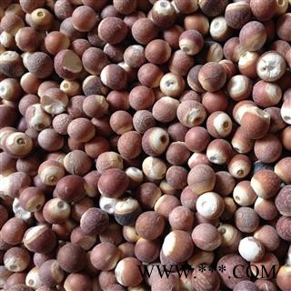 芡实 大选个11-12厘 产地 广东省图2