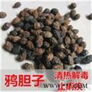 【录建药业】鸦胆子 统 产地 内蒙古自治区鄂尔多斯市鄂托克前旗图2