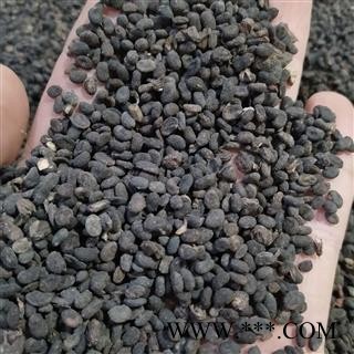 补骨脂 补骨脂饱满统货 产地 广西壮族自治区图2