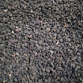 补骨脂 补骨脂饱满统货 产地 广西壮族自治区图4