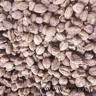 砂仁 圆果 进口壳砂仁精选货 产地 海外图2