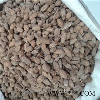 砂仁 长果壳砂 统货 产地 海外图2