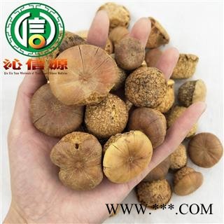 【满包邮】风流果个子统货散装广西产地直供龟头子 益肾果 益肾子 壮阳果 养生泡酒料沁信源中药材批发图3