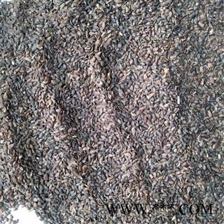 车前子 江西车前子精选货 产地 江西省图3