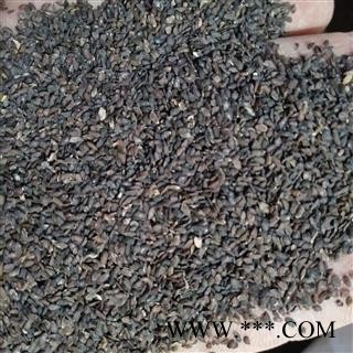 车前子 江西车前子精选货 产地 江西省图2