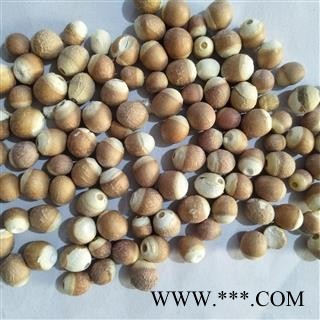 芡实 芡实1.0 产地 广东省图4