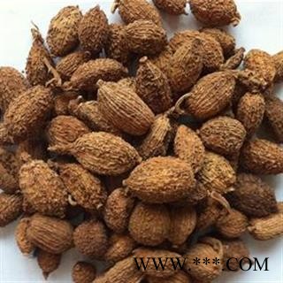 砂仁 进口壳砂仁统货 产地 海外 国药堂 专注品质图3