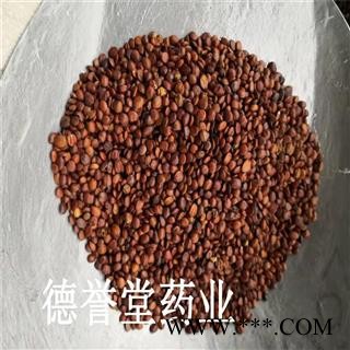 酸枣仁 选 国产98货 酸枣仁 产地 山东省 批发各种中药材图4