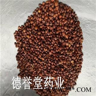 酸枣仁 选 国产98货 酸枣仁 产地 山东省 批发各种中药材图2