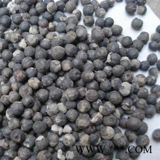 蔓荆子 云南蔓荆子小粒统货 产地 云南省图2