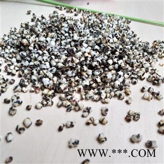 王不留行 甘肃王不留行选货 产地 甘肃省图2