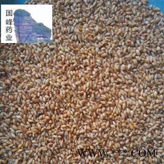 柏子仁 正品地道 选货 无硫磺 无虫蛀 颜色好 国峰药业 重在品质 产地 山东省图2