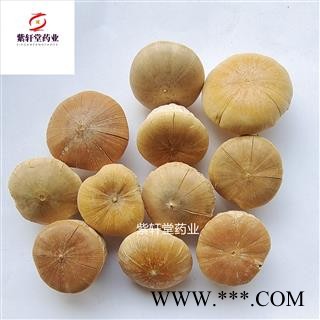 风流果 壮阳果 选货 优质风流果大个 龟头子 药效好  产地直销 产地 广西壮族自治区图4