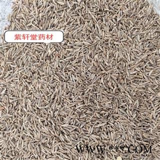 孜然 新货 味道好 选货 产地 广西壮族自治区图2