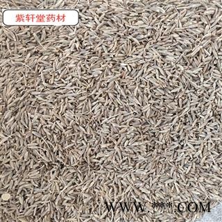 孜然 新货 味道好 选货 产地 广西壮族自治区图3