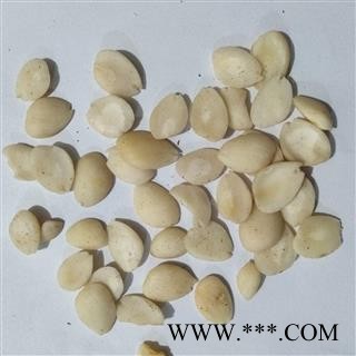 桃仁 去皮扁桃仁选片 产地 内蒙古自治区图3