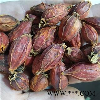 栀子 产地直销红栀子新货纯干 产地 江西省图2