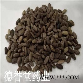 瓜蒌子 选 瓜蒌子 产地 安徽 德誉堂药业批发各种中药材图1