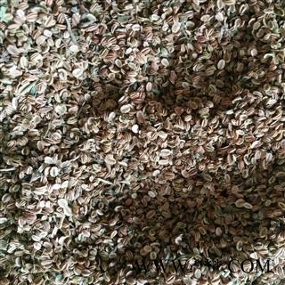 蛇床子 双肾子  蛇床子统货 产地 安徽省图2