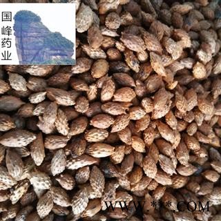 苍耳子炒苍耳子 好统货 无虫蛀 全干 国峰药业 重在品质 老苍子 毛苍子 苍耳仁 产地 河北省图2