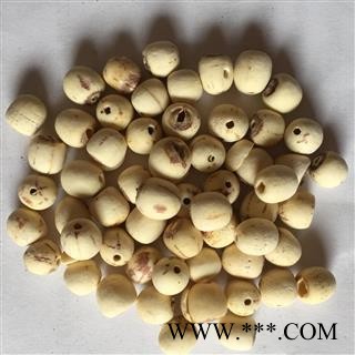 莲子 湖南湖北空心磨皮白莲子95货 纯干货 今年新货 产地 湖南省图2