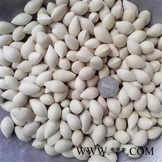 【录建药业】白果 白果选 产地 江苏省图2