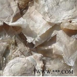 千张纸  木蝴蝶 产地 云南省楚雄彝族自治州楚雄市图2