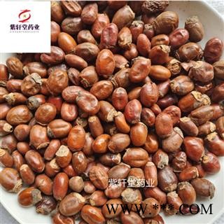 荔枝核 荔枝核 新货颜色好 产地广西 紫轩堂药业图2