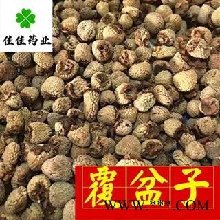 覆盆子 覆盆子选货 大粒 产地直销 实物图 过筛货 产地 浙江省图3