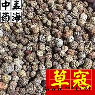 草豆蔻 选装 草寇 草蔻 草扣 过筛货 无碎籽 产地直销 产地 广西壮族自治区 草寇图3