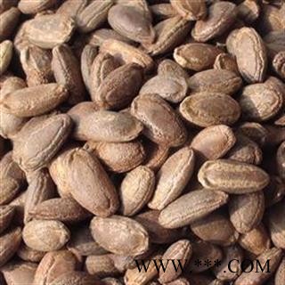 瓜蒌籽 单边瓜蒌子选货 新货 无虫蛀 供应各种中药材 产地 河北省图3