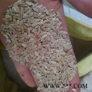 甜瓜子 甜瓜籽 供应各种中药材 冷背货 籽籽药 矿石 产地 山东省图3