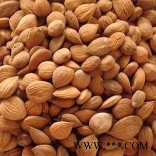 苦杏仁 统 2021新货 产地 内蒙古自治区赤峰市松山区图2