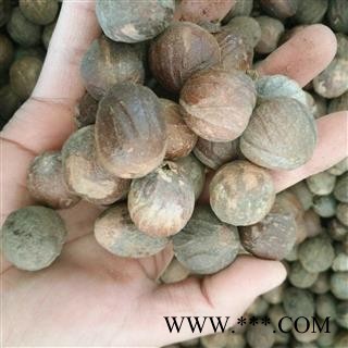 肉豆蔻 香果 统货 产地 广西壮族自治区图2