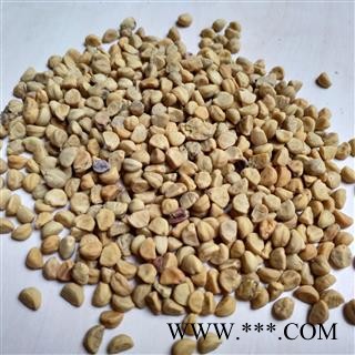 白丑 牵牛子白丑统货 产地 安徽省图2