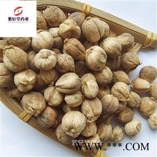 白豆蔻 白扣 白豆蔻统货 大降价 产地广西 地道药材 质量好 紫轩堂药业图3