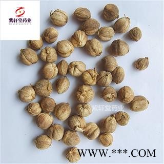 白豆蔻 白扣 白豆蔻统货 大降价 产地广西 地道药材 质量好 紫轩堂药业图2