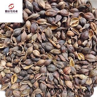 连翘 连翘净货 过筛无籽 好统货 颜色好 地道药材 紫轩堂药业图4