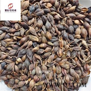 连翘 连翘净货 过筛无籽 好统货 颜色好 地道药材 紫轩堂药业图3