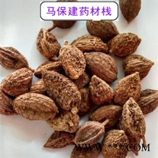 砂仁 阳春壳砂仁炕干选货 产地 广东省图2