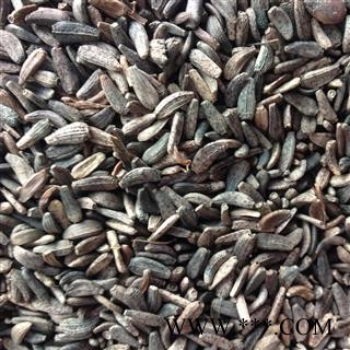 牛蒡子 大力子 牛蒡子净货 优质选货  产地 黑龙江省图2