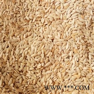 黄瓜子 黄瓜籽  黄瓜子选货 产地 安徽省图2