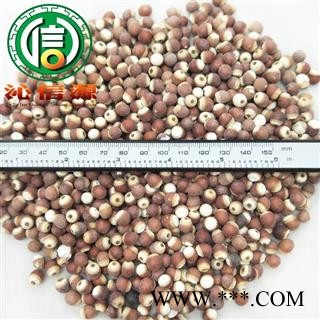 【满包邮】芡实小粒个子选货散装芡实粒广东产地直供刀芡实沁信源中药批发图2